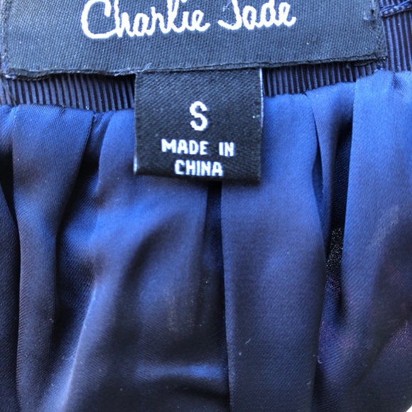 Charlie Jade Silk Dress - Picture 4 of 5